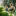 Groene leefomgeving