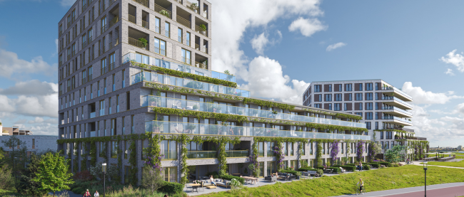 Zuidhof Fase 2