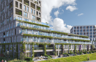 Zuidhof Fase 2